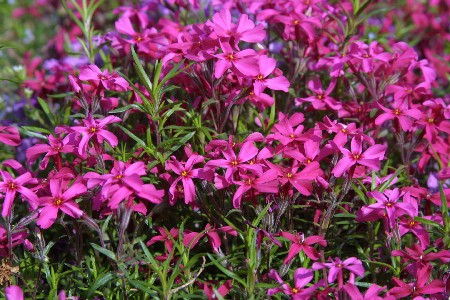 img0304005.jpg