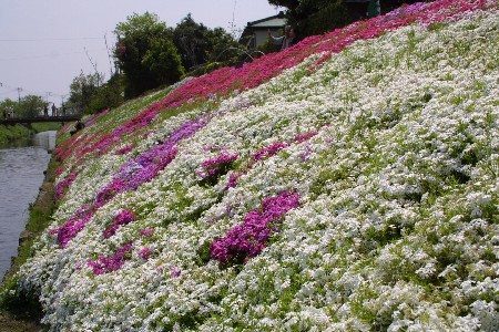 img0304012.jpg