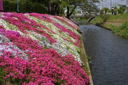img0304014.jpg
