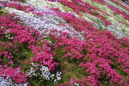 img0304020.jpg