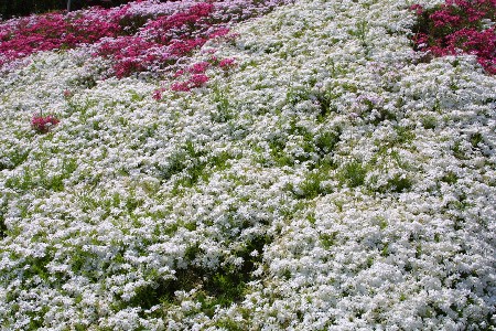 img0304022.jpg