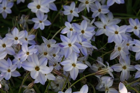 img0304024.jpg