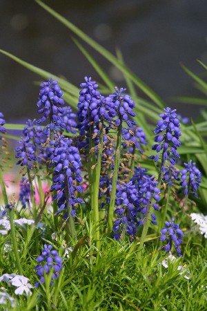img0304029.jpg