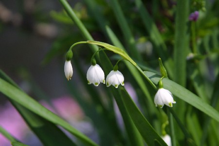 img0304033.jpg