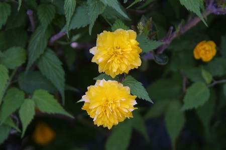 img0304038.jpg
