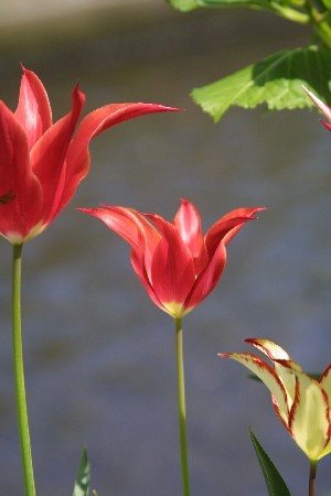 img0304043.jpg