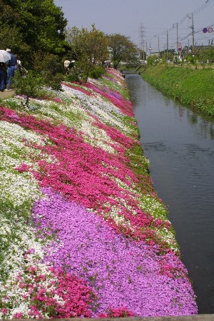 img0304986.jpg