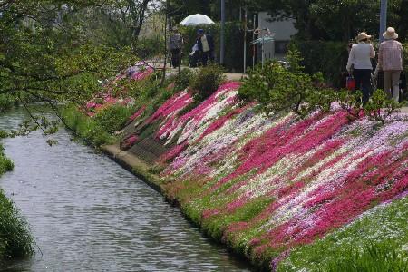 img0304992.jpg