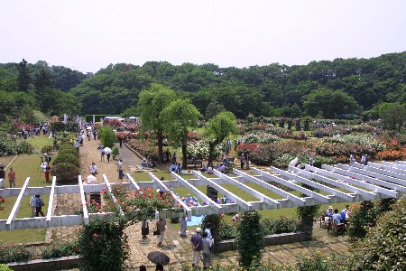 img0305157.jpg