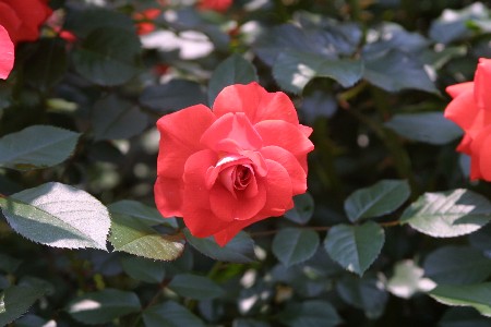 img0305163.jpg