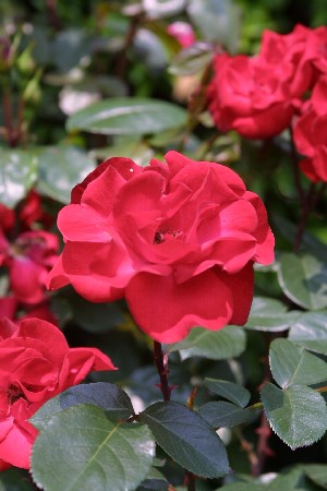 img0305172.jpg