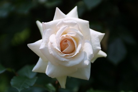 img0305193.jpg