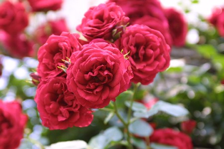 img0305208.jpg