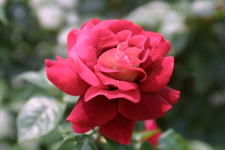 img0305229.jpg