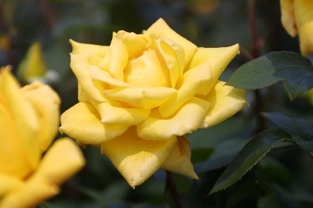 img0305231.jpg