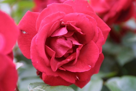 img0305234.jpg