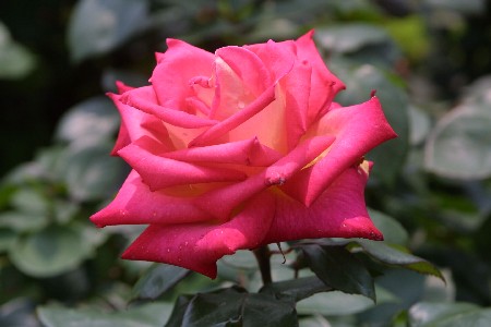img0305247.jpg