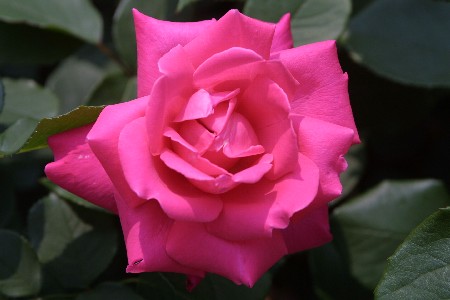 img0305252.jpg