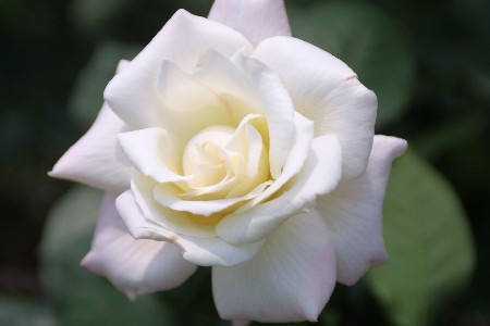 img0305255.jpg