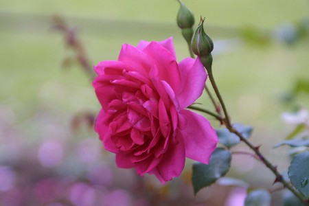 img0305282.jpg