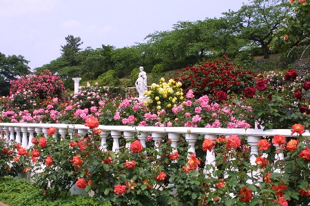 img0305287.jpg