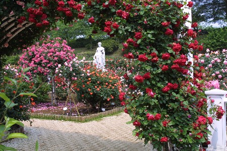 img0305297.jpg