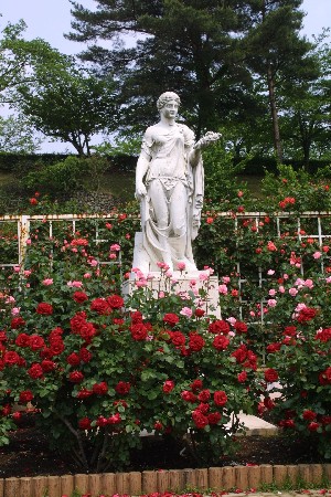 img0305302.jpg