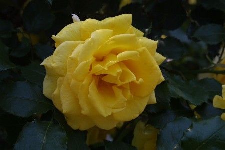 img0305318.jpg