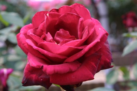 img0305320.jpg