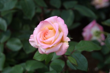 img0305331.jpg