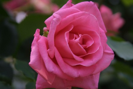 img0305339.jpg