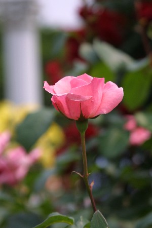 img0305351.jpg
