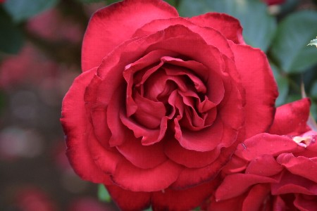 img0305355.jpg