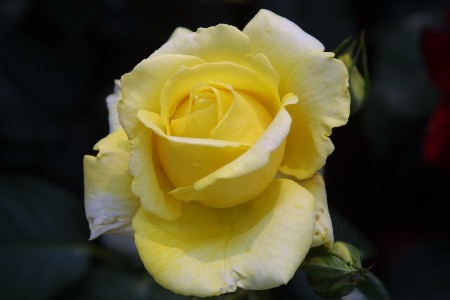 img0305358.jpg