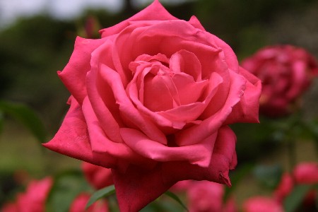 img0305395.jpg