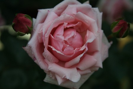 img0305399.jpg