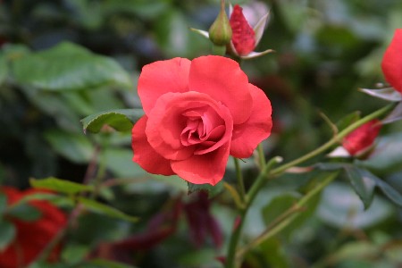 img0305415.jpg