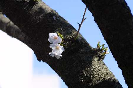 img0104183.jpg