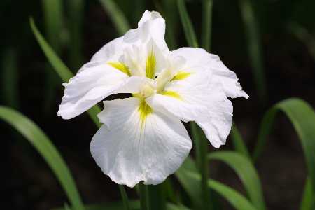 img0106343.jpg