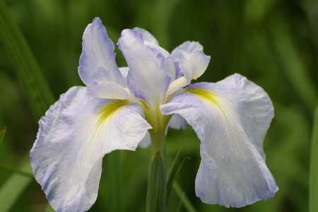 img0106351.jpg