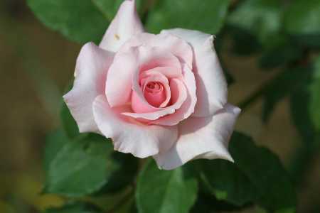 img0107403.jpg
