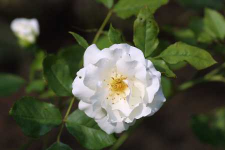 img0107404.jpg