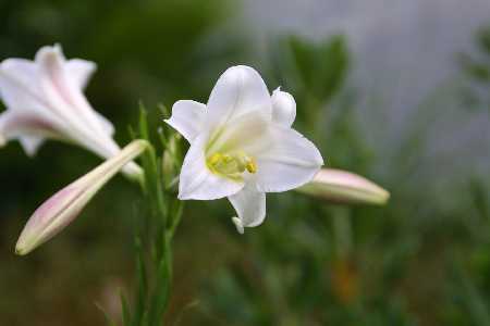 img0108439.jpg