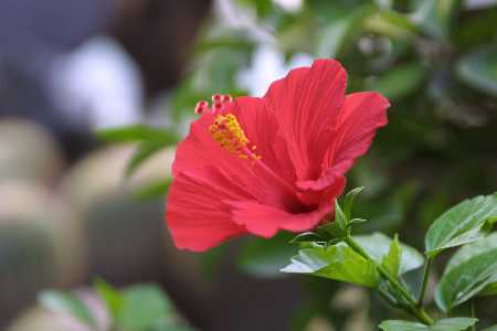 img0108496.jpg
