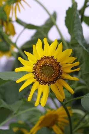 img0108502.jpg
