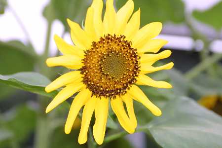 img0108505.jpg