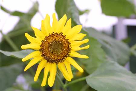 img0108506.jpg