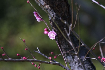 img0201272.jpg