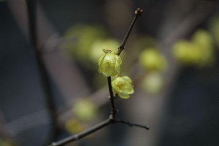 img0201273.jpg