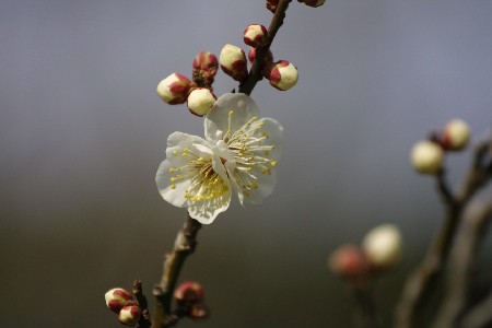 img0201275.jpg